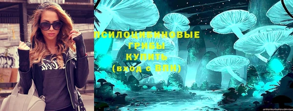 индика Весьегонск