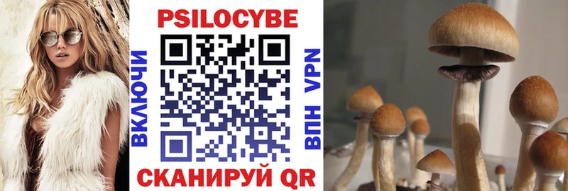 Псилоцибиновые грибы GOLDEN TEACHER  Жуков 